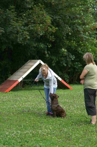 obeissance 2014-08-02